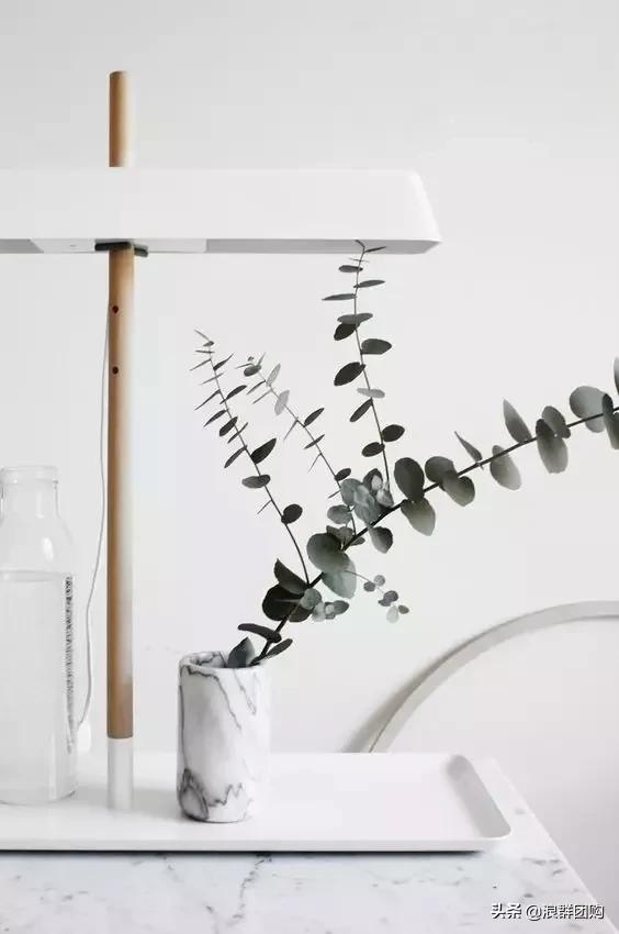 尤加利灰色好看吗,尤加利青配色图片