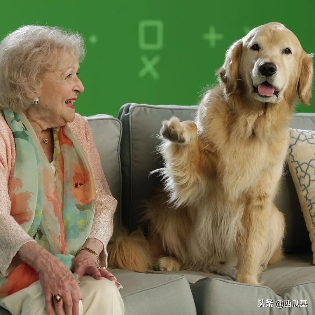 继承了千万财产的动物,继承了主人财产的宠物