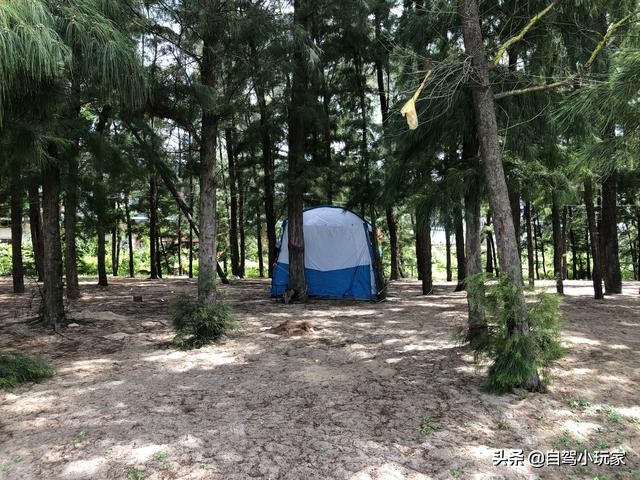 人少景美野营地,适合露营的亲子游