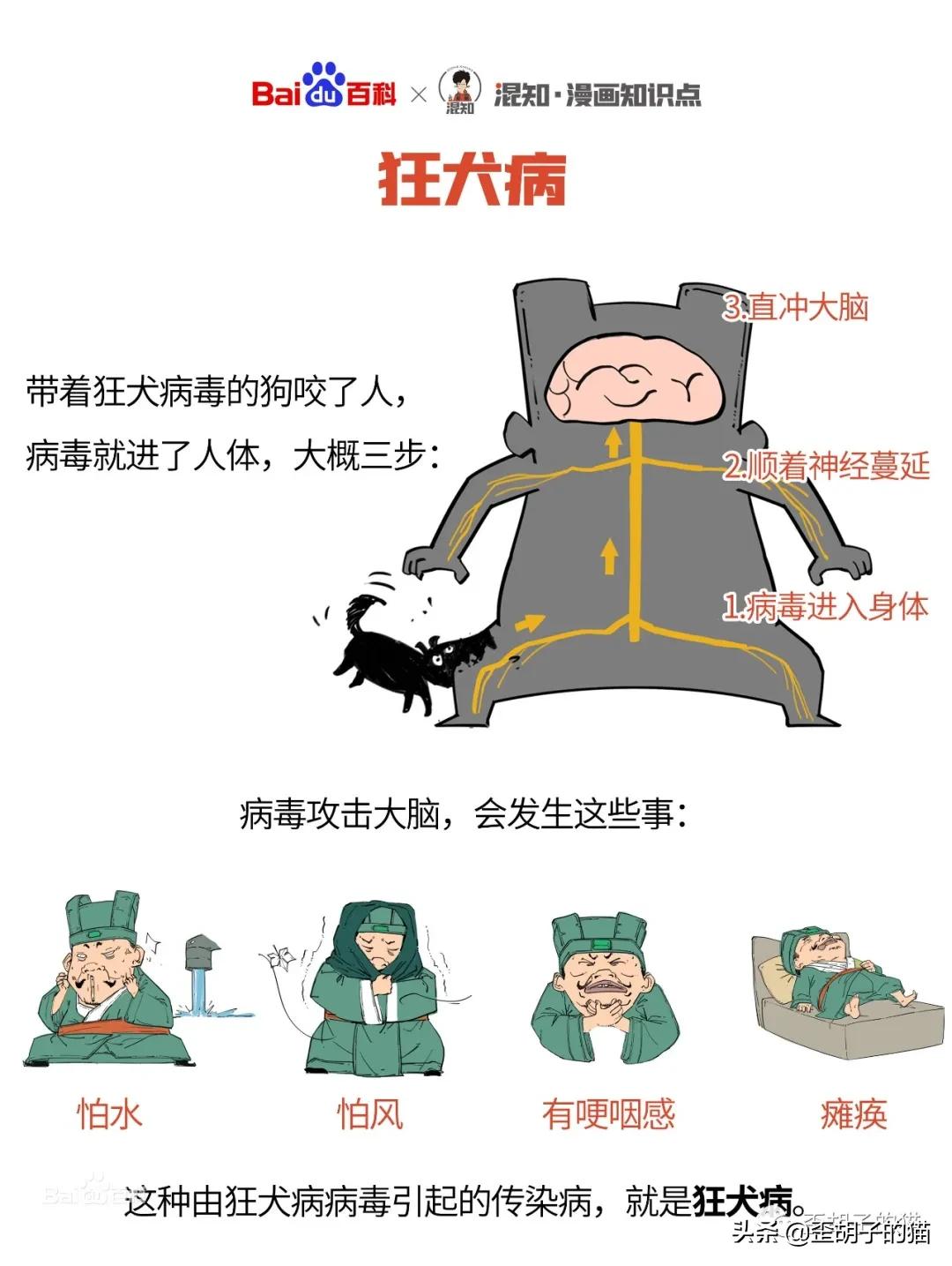 猫抓伤得狂犬病猫也会死吗,我被猫抓伤了伤口很深要打疫苗吗