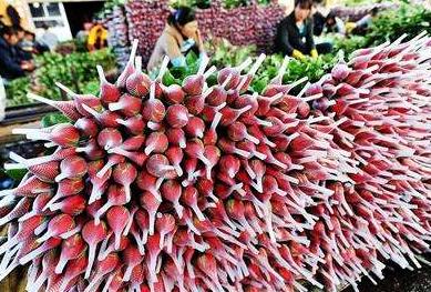 云南各地方是如何看待昆明的,云南各地怎么评价昆明人