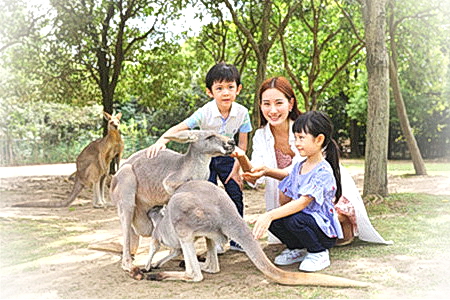上海十大旅游景点排行榜前十名,上海十大旅游景点英文