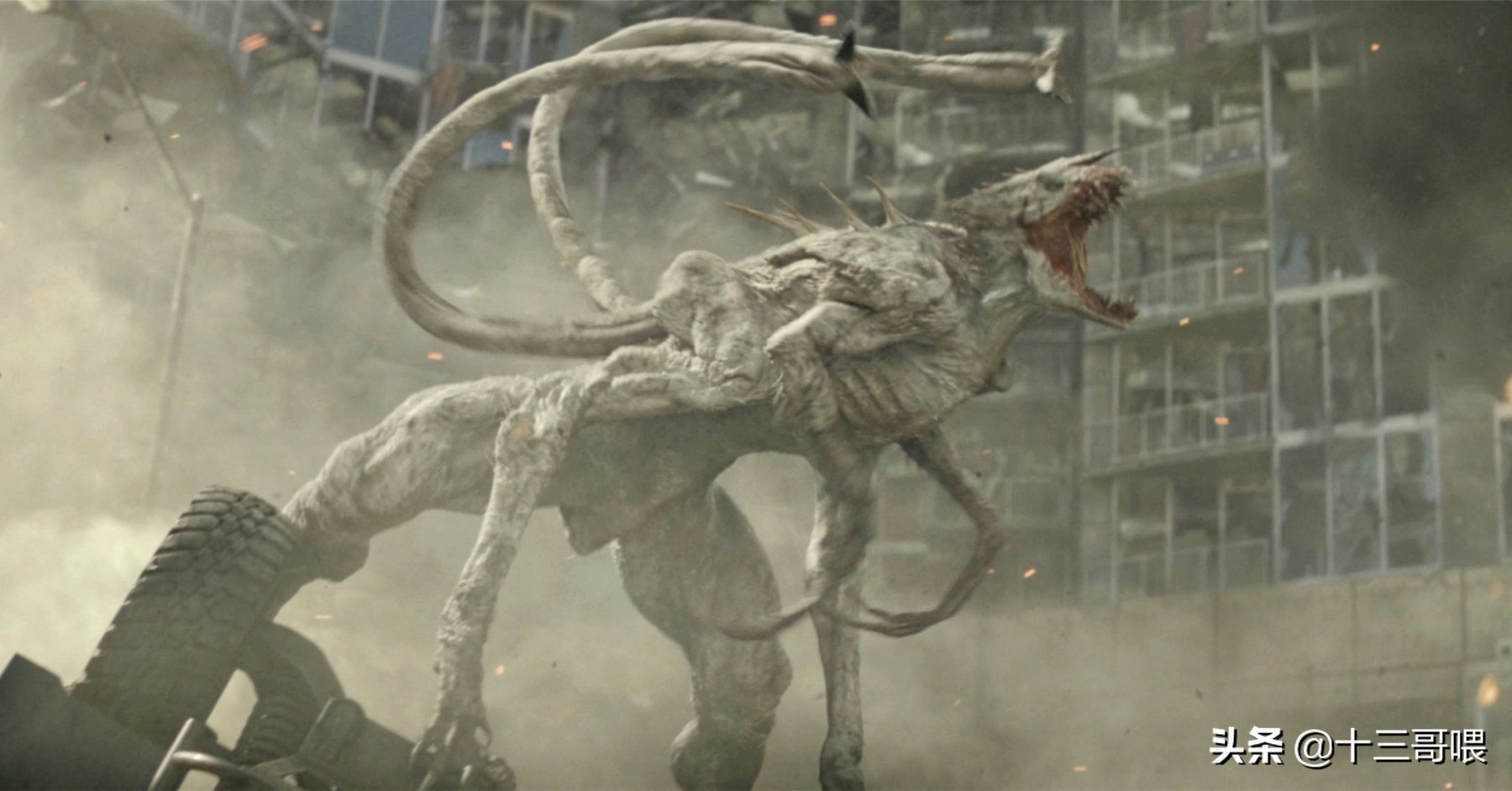 星爵参演过明日之后吗,星爵vs白长钉