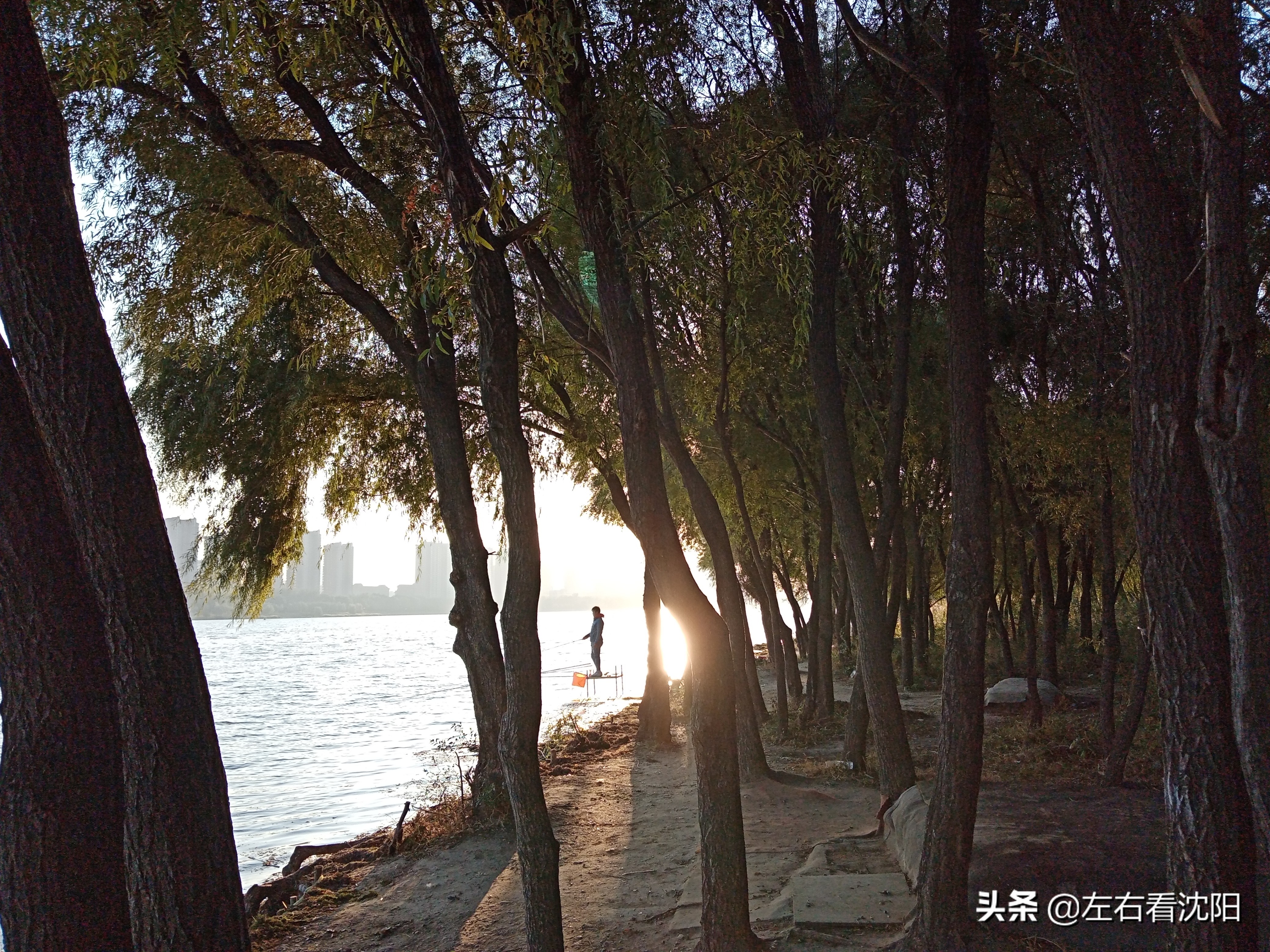 沈阳五里河公园攻略,沈阳五里河公园现在开吗