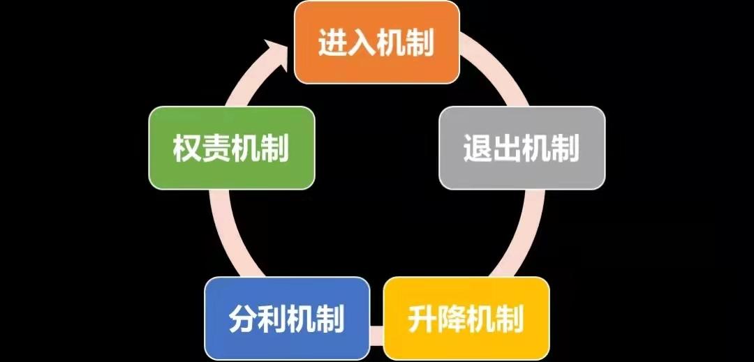 门店如何设计股权合伙模式,门店合伙人模式如何落地