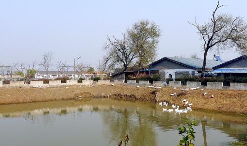盐城大丰农场上海,盐城大丰生态农场