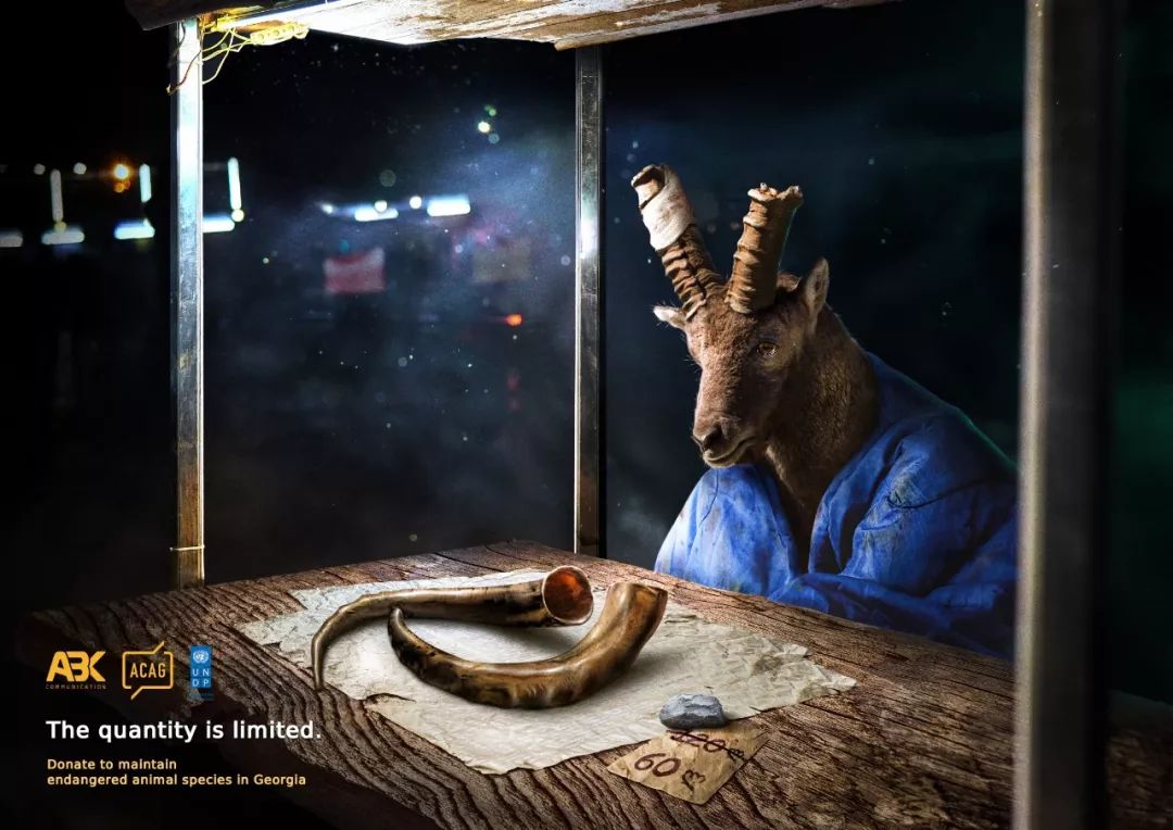 全球创意海报100张,最新创意海报合集值得收藏