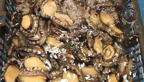 鲍鱼怎么洗最快最干净,如何洗鲍鱼才能洗干净