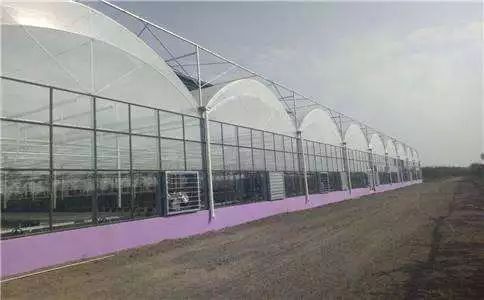 小型温室大棚用什么样的大棚,温室大棚和传统大棚的区别