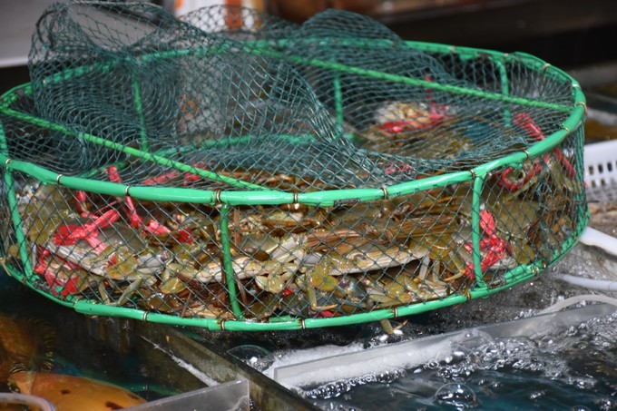 海陵岛四天三夜攻略,海陵岛4天游攻略