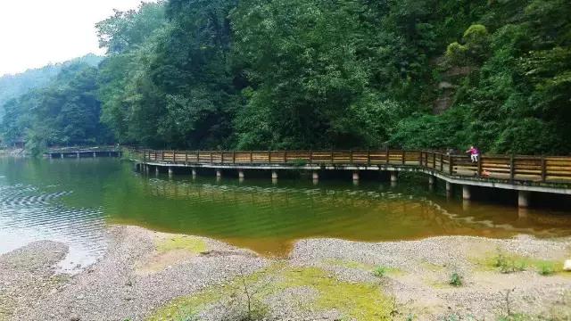 我变成了一颗石头作文三年级,三年级第5课的作文300字