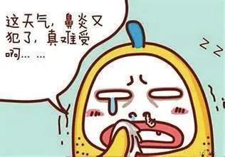 过敏性鼻炎怎样护理好鼻子,春天来了鼻炎也跟着来了