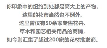 亚洲最大花市宛如仙境,中国最牛的花市