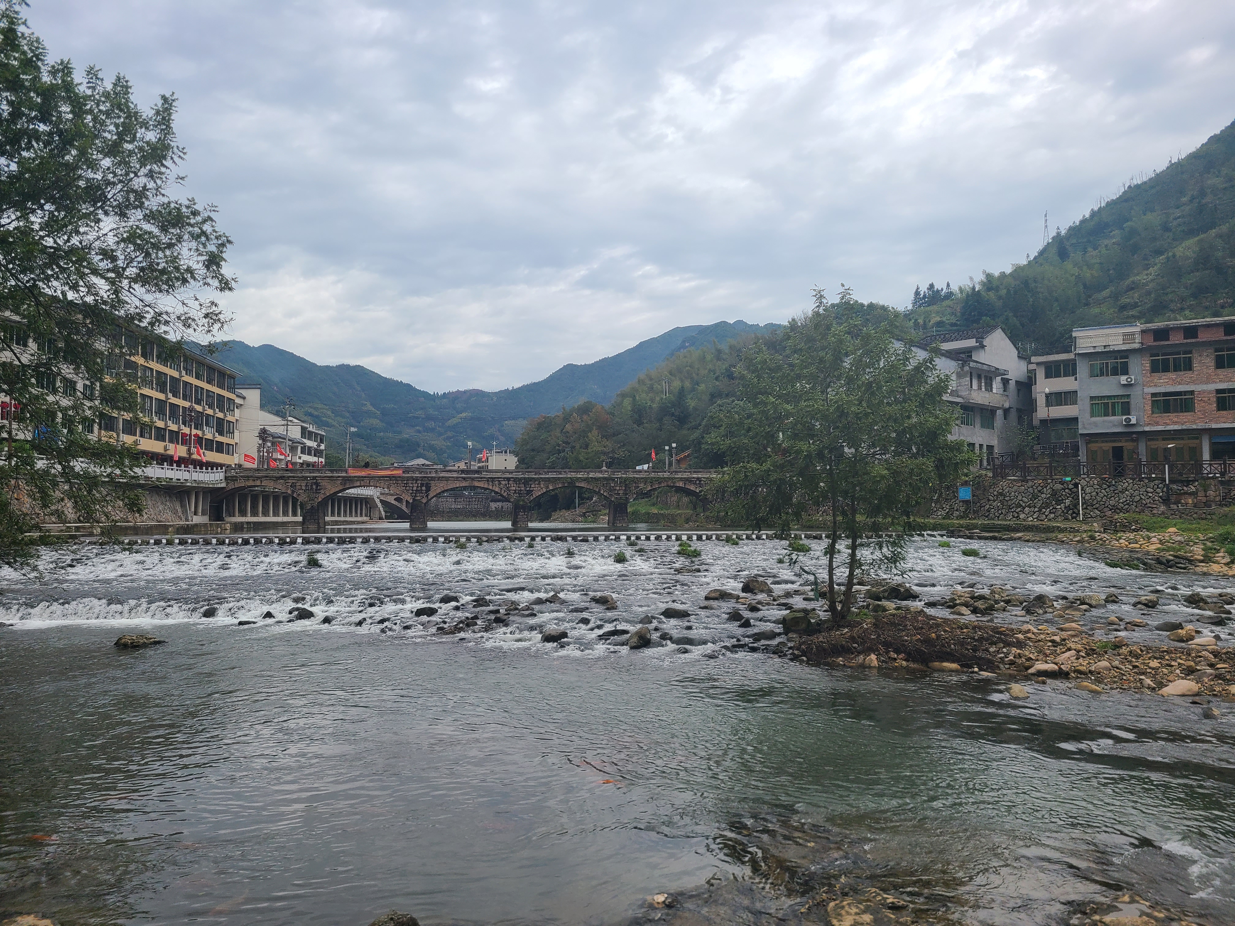 泰顺最出名的茶叶 (泰顺名茶有哪些)