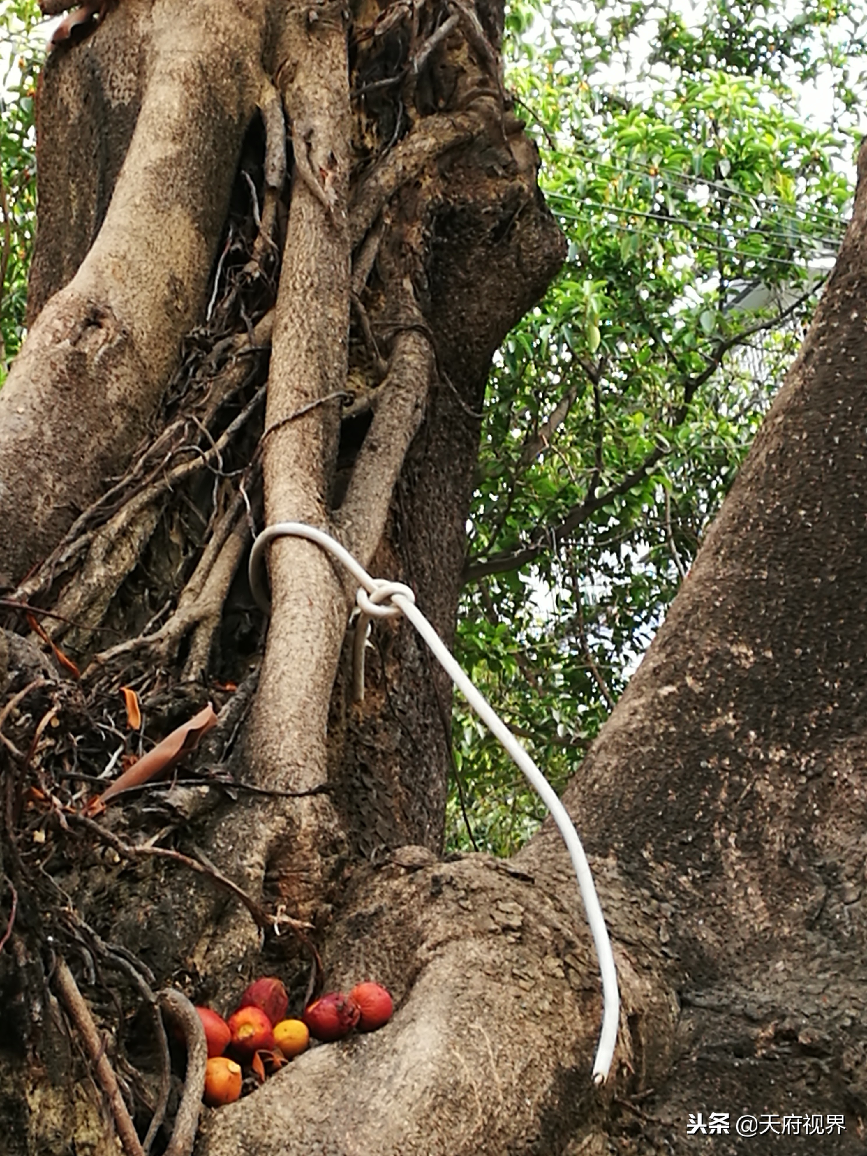 攀枝花盐边县新县城全景,攀枝花盐边县风景区