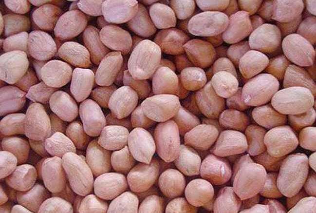 专家说农村自榨花生油不能吃,小伙公开榨油过程,专家不说话了