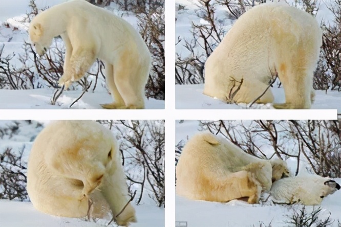 倒立好处多多,倒立的好处及方法视频