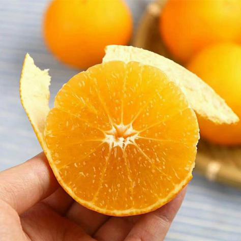 爱媛38为什么这么厉害,爱媛38原产日本什么地方