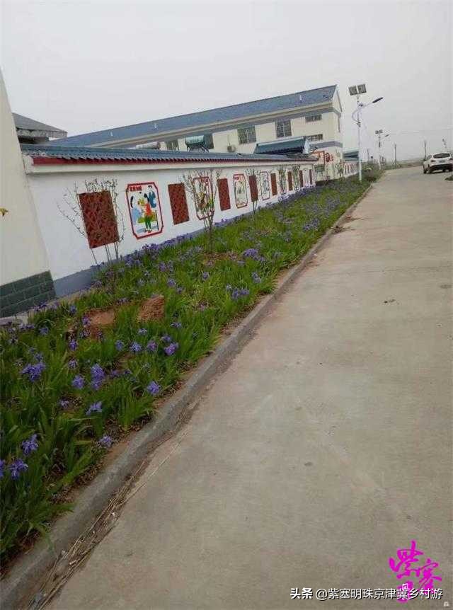 唐山乐亭旅游攻略一日游多少钱,唐山旅游乐亭祥云岛景点大全