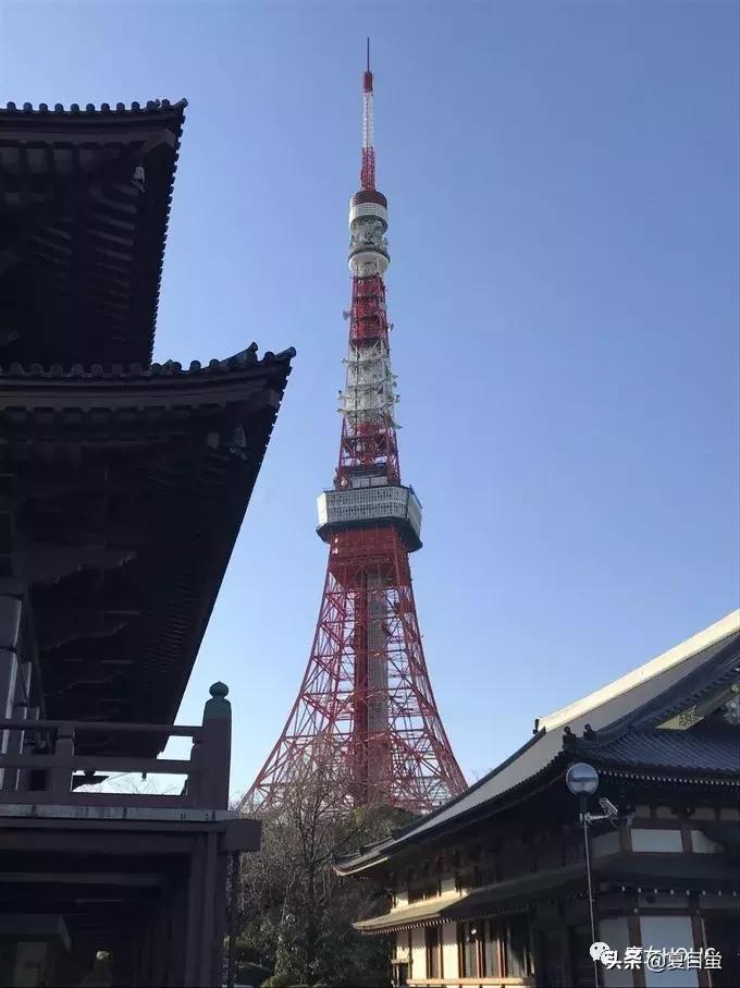 东京六本木地图,东京六本木街区