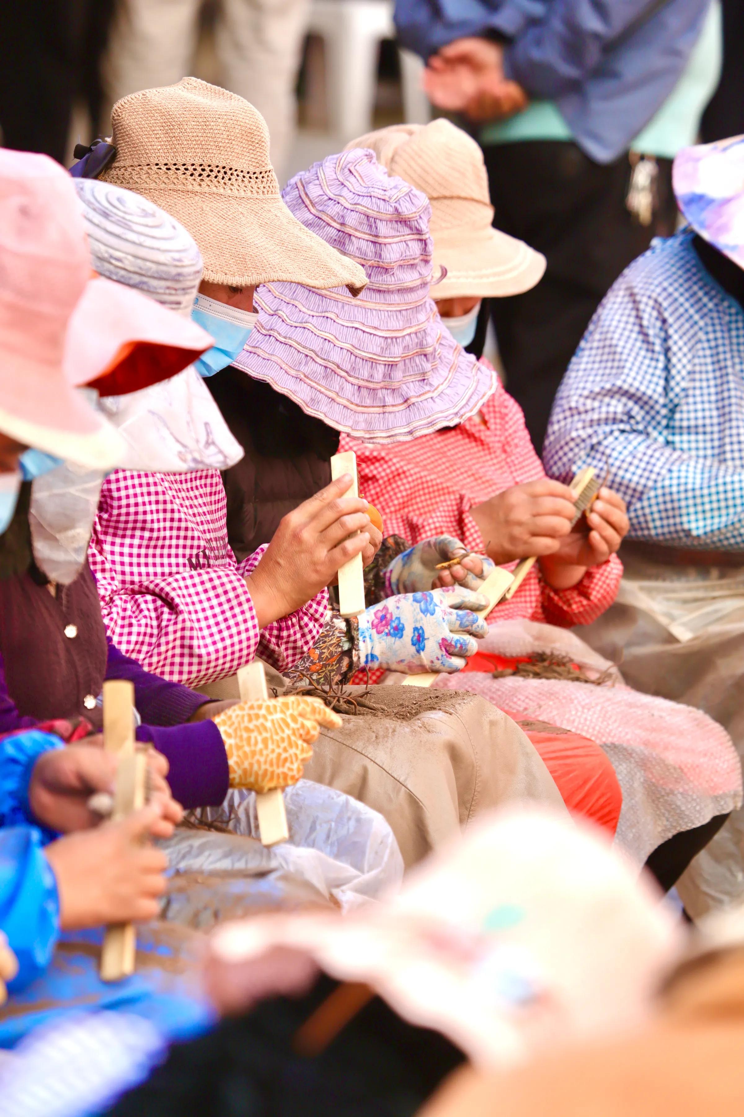 中国最大虫草市场,全国最大冬虫夏草集散地