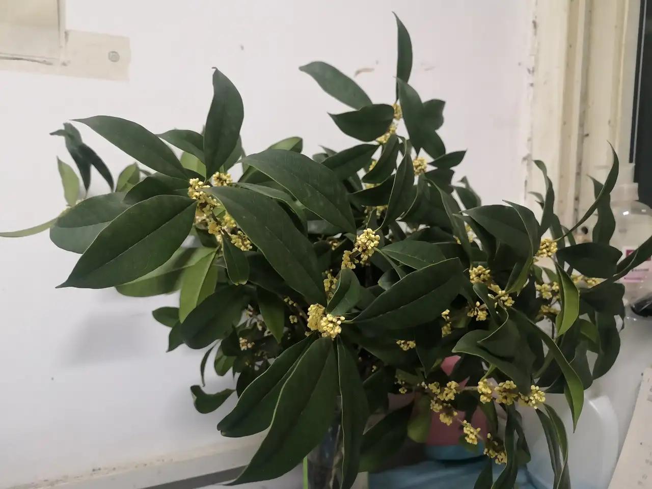 很想换工作但是新工作不稳定,很想换工作又怕过渡期