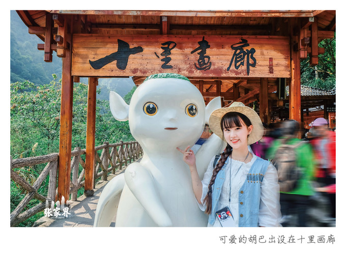 去张家界自助游攻略,张家界免门票自助游攻略图片真实