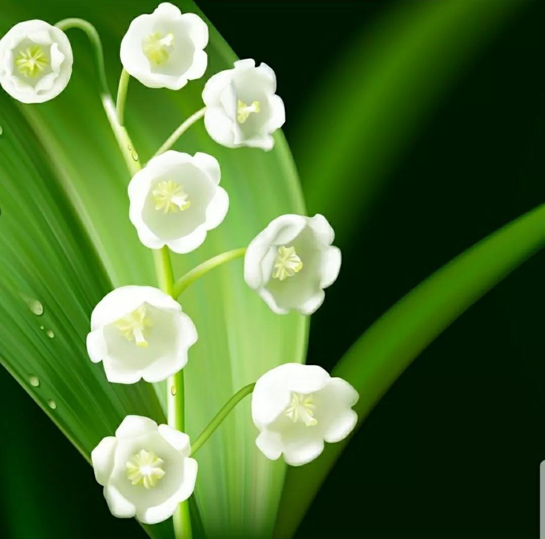 铃儿响叮当双音和弦五线谱,铃儿响叮当三级长笛