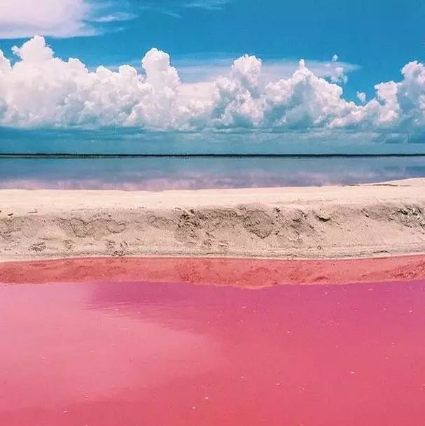 女神节有无与伦比的美丽,女神节浪漫游花海