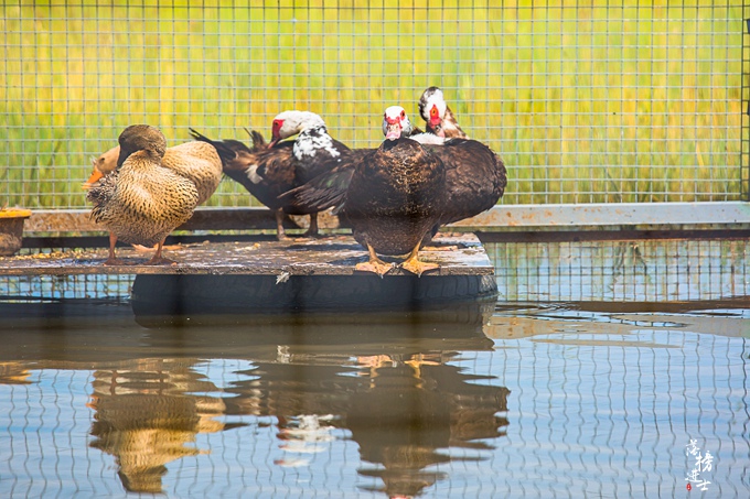 张家口沽源风景区,张家口沽源县景点