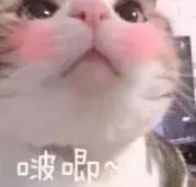 洗了那么多年的脸你洗对了吗,洗了这么多年的头都白洗了