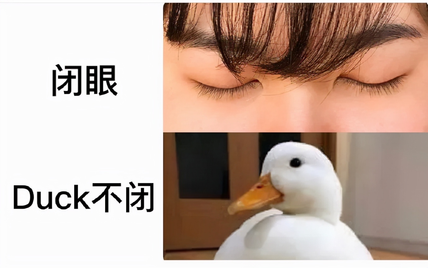 今日段子|薇娅和李佳琦一天卖了多少钱?