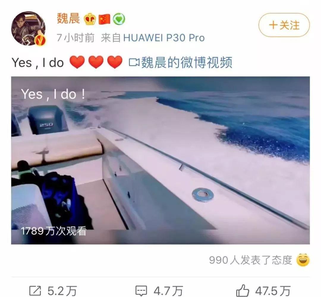 盘点那些甜甜的猫狗cp,猫狗cp高甜