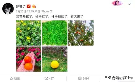 张馨予热门话题,张馨予从话题女王到帅气