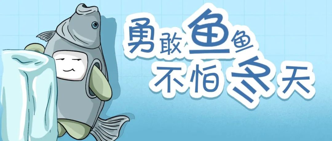 南极为什么冻不死鱼,南极的鱼为什么没有被冻成冰