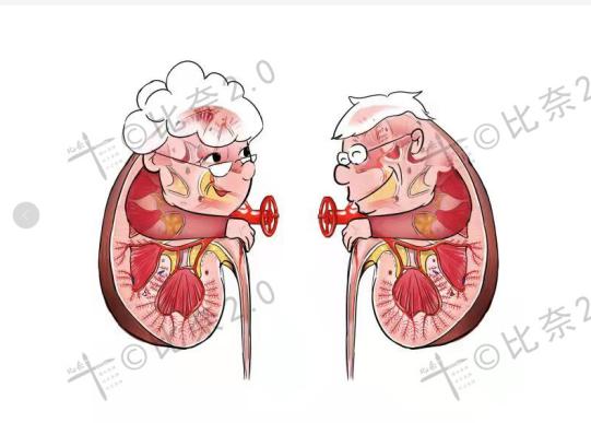 简单易画的人体解剖图,灵魂画手美术生