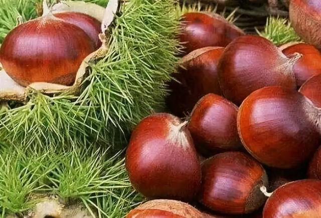 商洛一座美丽的城市,商洛最美的小城市