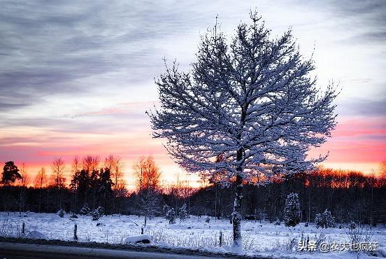 2020年冬至过后会是冷冬还是暖冬,今年冬至比较冷还是大小寒比较冷