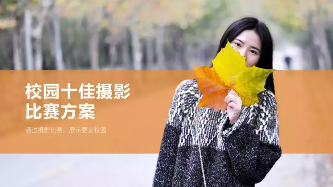 ppt对优秀版式进行整理归纳的方法,ppt排版构图神器