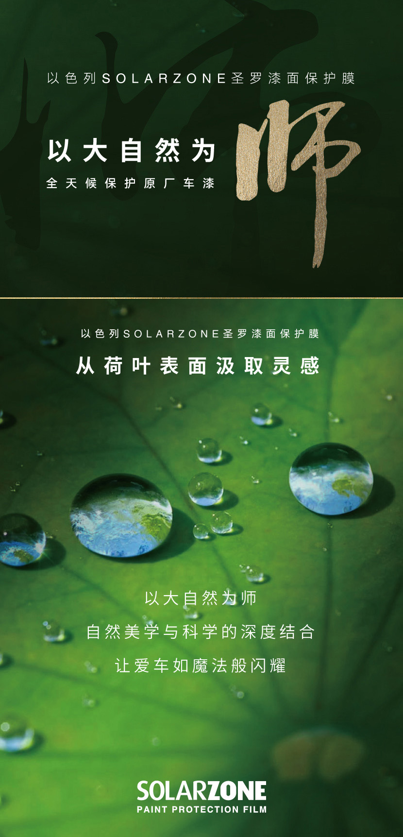 圣罗：致敬师者，引领未来