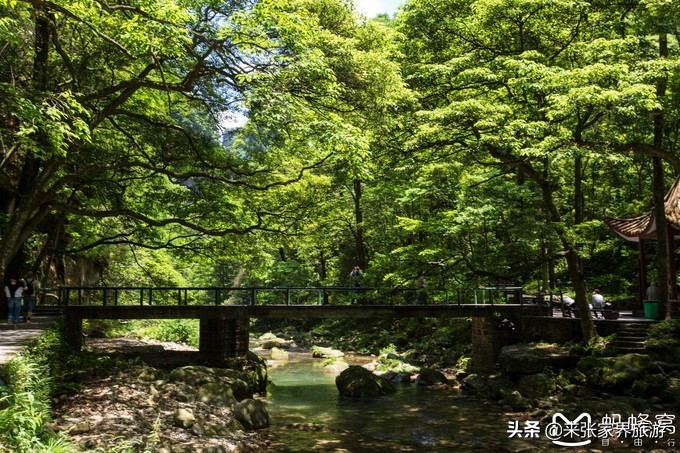 张家界武陵源天门山三日游团购,天门山森林公园张家界自由行攻略