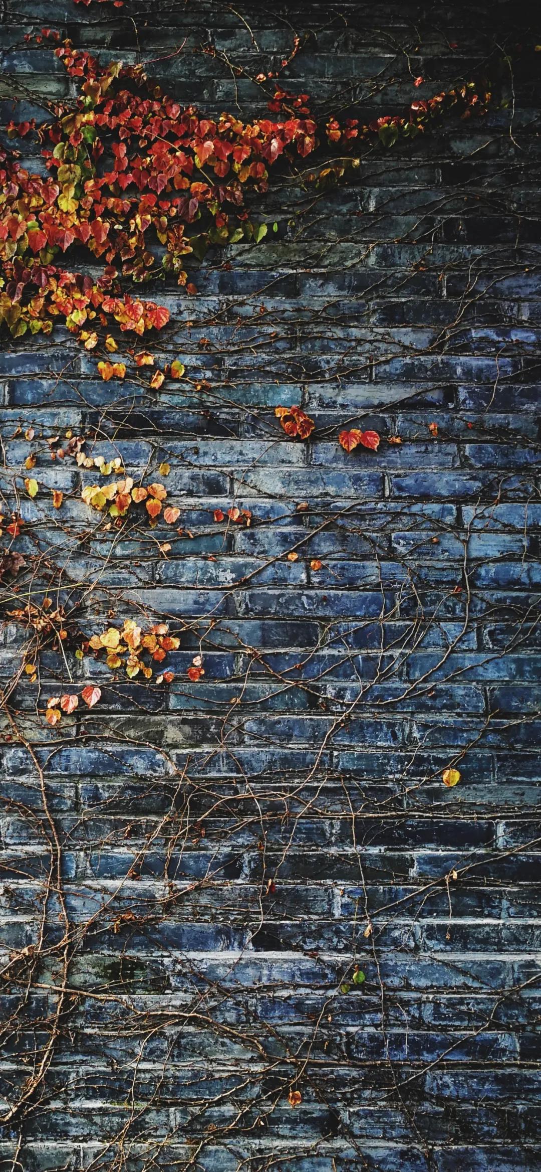 iphone壁纸高级感,iphone壁纸怎么设置