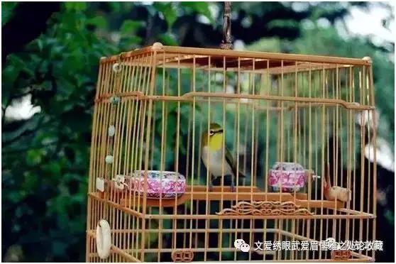 文爱绣眼武爱眉儒雅之处论收藏