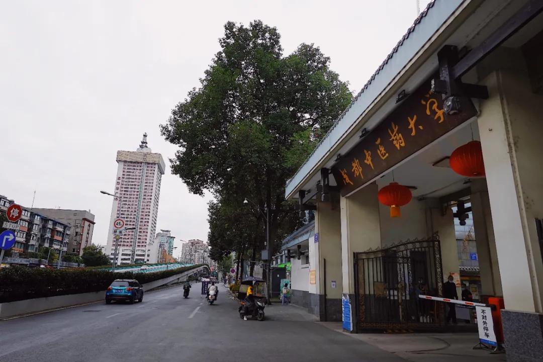 成都发现宝藏店,成都西门有哪些景点