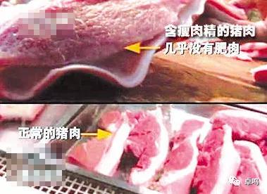 携手共进,共享未来!卓鸣“领康云”庆祝合肥宽虹餐饮首批入驻