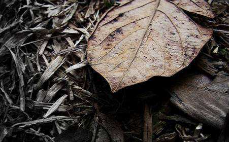 卫生巾最开始哪个国家发明的,女性用的卫生巾是谁发明的