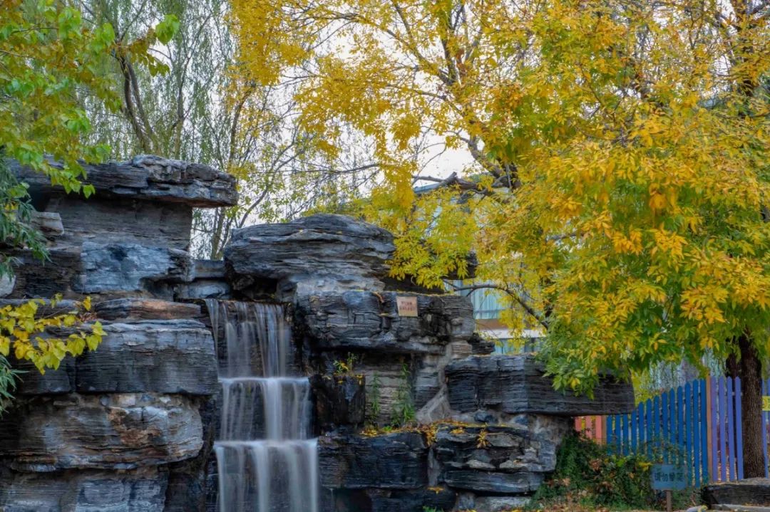 稻香湖秋天,海淀稻香