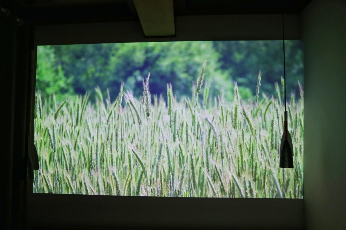 极米newplay特别版可以当做音箱吗,极米newplay特别版评测