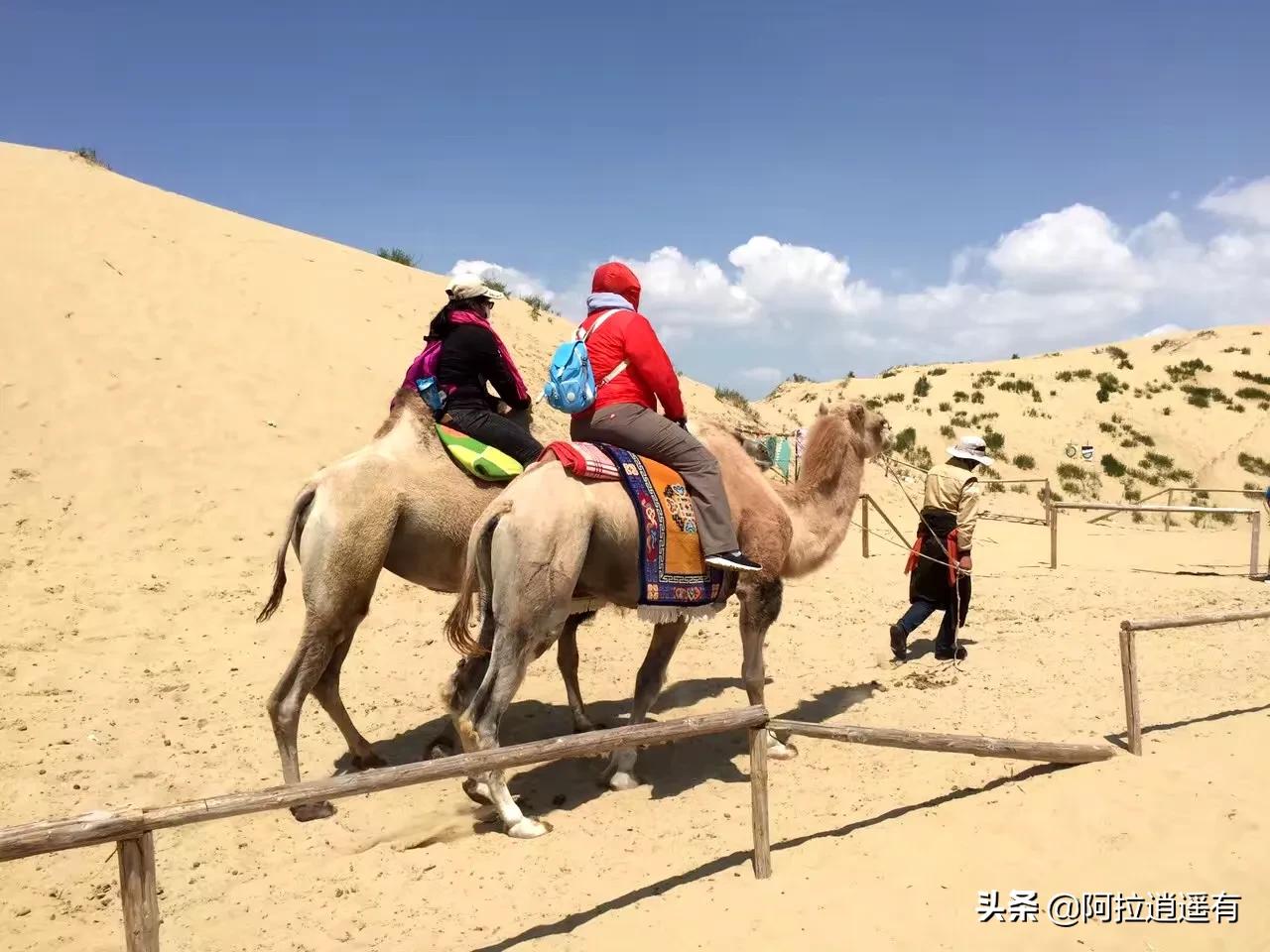 青海湖旅游小环线攻略路线推荐,暑假青海湖三日游旅游攻略