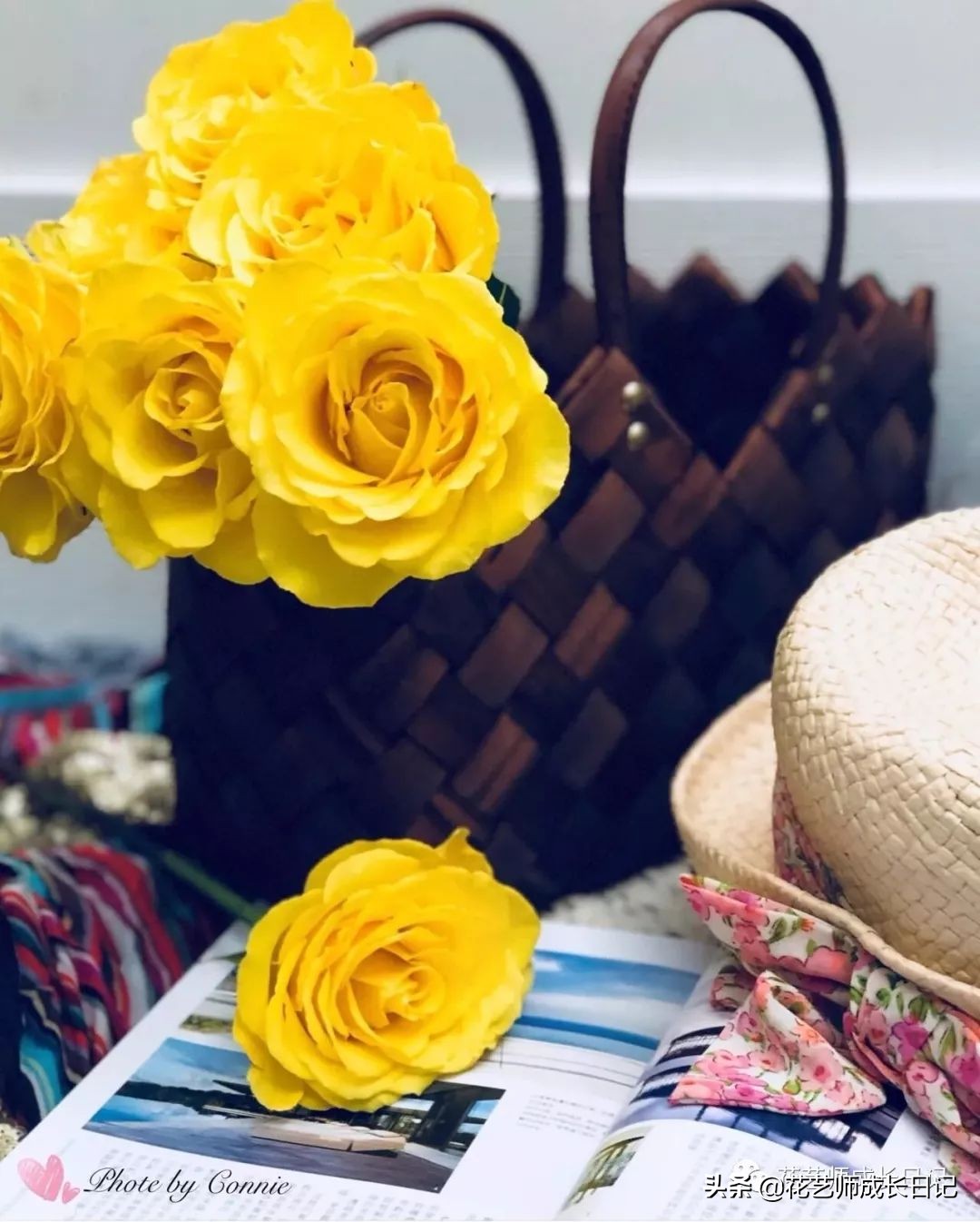 黄颜色的玫瑰是啥品种,浅黄色玫瑰有什么品种